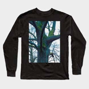 Rainbow tree Long Sleeve T-Shirt